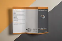 BML Accident Trifold BML Accident Trifold