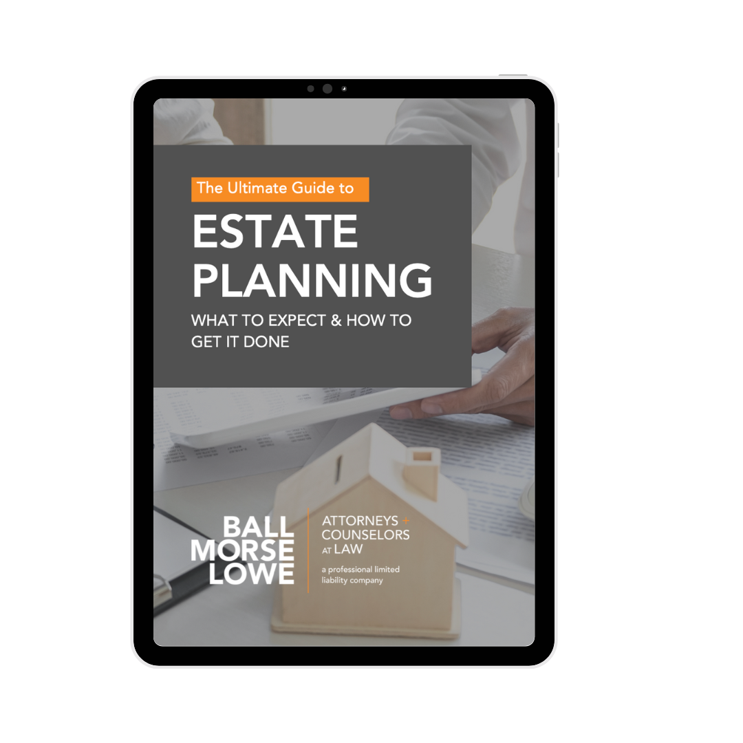 Estate Planning Guide Mock Up